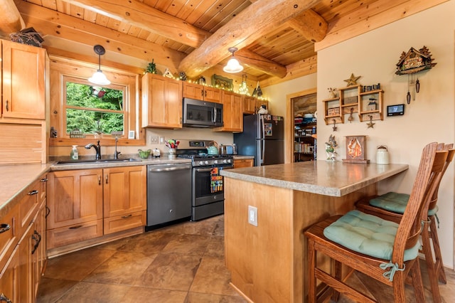 30453 County Road 19, Wiscoy Twp, MN 55971 - kitchen featuring stainless steel appliances, a wood ceiling with exposed beams, a peninsula, a kitchen bar, and hanging light fixtures