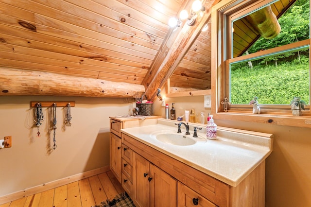 30453 County Road 19, Wiscoy Twp, MN 55971 - bathroom with wood ceiling, vanity, and wood-type flooring