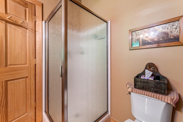 30453 County Road 19, Wiscoy Twp, MN 55971 - full bath with a stall shower and toilet