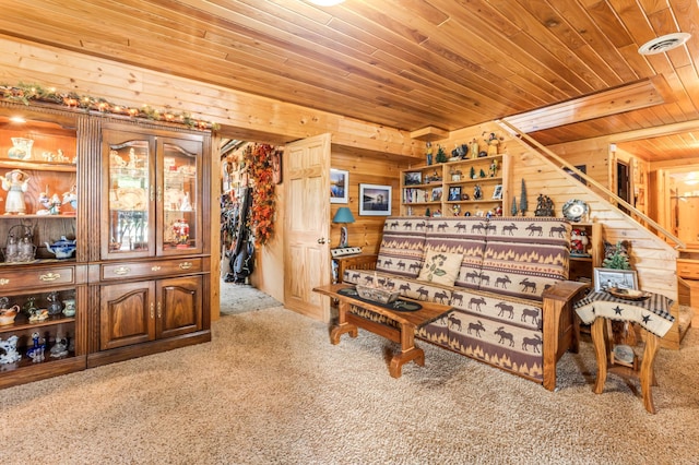 30453 County Road 19, Wiscoy Twp, MN 55971 - living room featuring wood ceiling, carpet, and wooden walls
