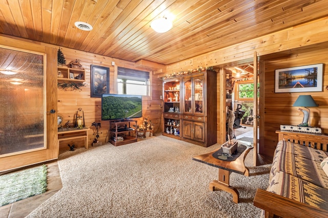 30453 County Road 19, Wiscoy Twp, MN 55971 - office featuring wooden walls, wood ceiling, and carpet flooring