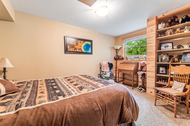 30453 County Road 19, Wiscoy Twp, MN 55971 - view of carpeted bedroom