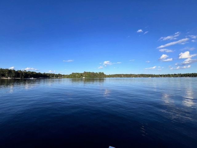 12307 Whitefish Ave Unit 11, Crosslake, MN 56442 - photo 21