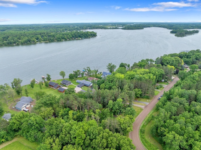 50945 Almond Ave, Nessel Twp, MN 55080 - drone / aerial view of a nearby body of water and a heavily wooded area