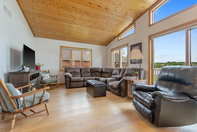 50945 Almond Ave, Nessel Twp, MN 55080 - living room featuring wood ceiling, high vaulted ceiling, and light wood-style flooring