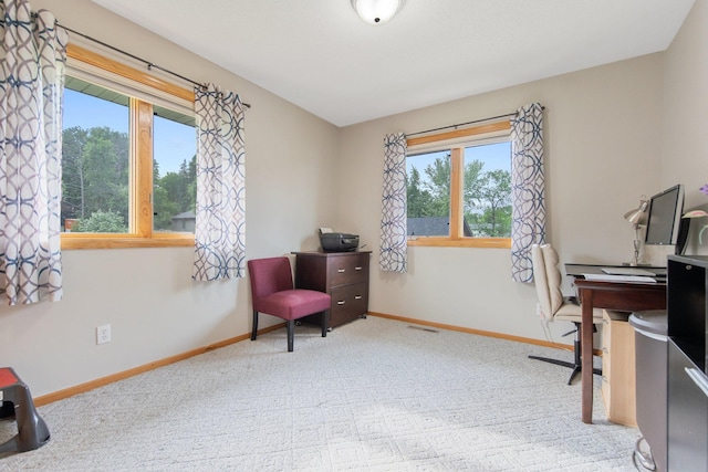 50945 Almond Ave, Nessel Twp, MN 55080 - carpeted office with baseboards