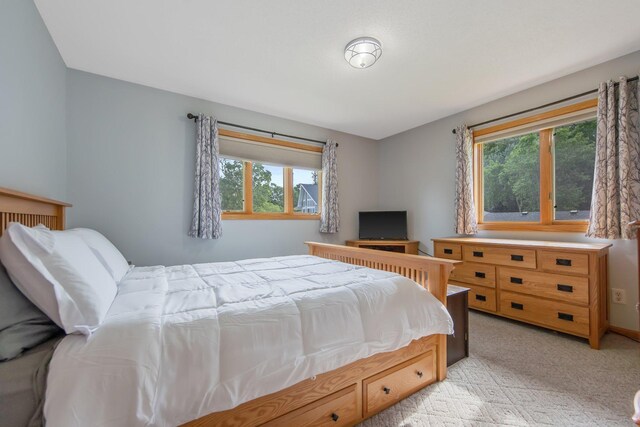 50945 Almond Ave, Nessel Twp, MN 55080 - bedroom featuring light colored carpet