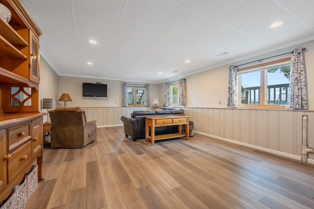 50945 Almond Ave, Nessel Twp, MN 55080 - living area featuring a wainscoted wall, light wood-style floors, healthy amount of natural light, ornamental molding, and recessed lighting