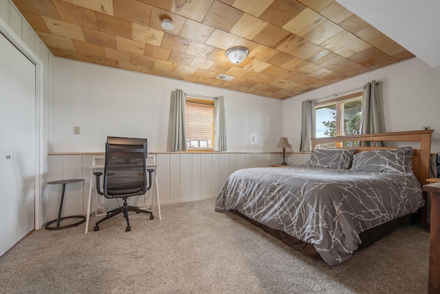50945 Almond Ave, Nessel Twp, MN 55080 - bedroom featuring carpet and a wainscoted wall