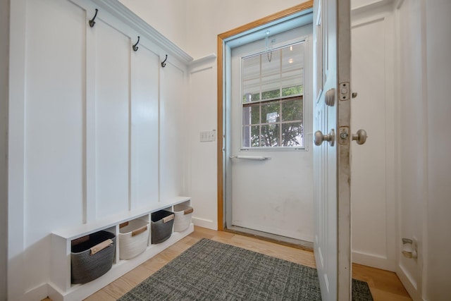 50945 Almond Ave, Nessel Twp, MN 55080 - mudroom featuring light wood-type flooring