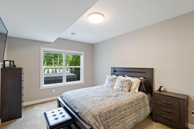 10301 176th St W, Lakeville, MN 55044 - photo 56