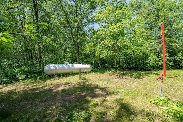 40936 Yost Rd, Emily, MN 56447 - view of yard featuring a view of trees