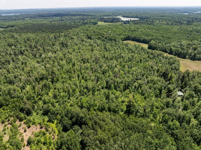 40936 Yost Rd, Emily, MN 56447 - bird's eye view of a forest
