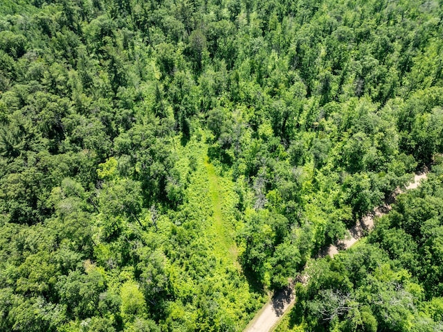 40936 Yost Rd, Emily, MN 56447 - drone / aerial view