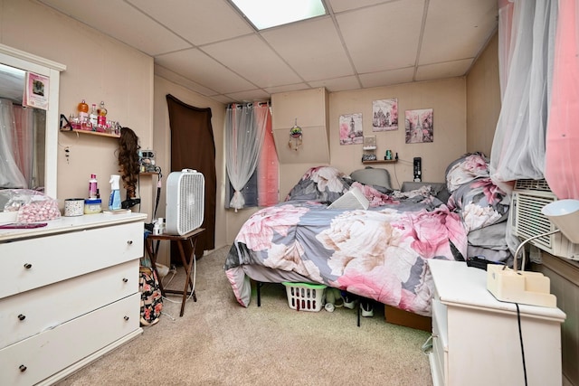 159 King St, Winona, MN 55987 - bedroom with a drop ceiling and carpet