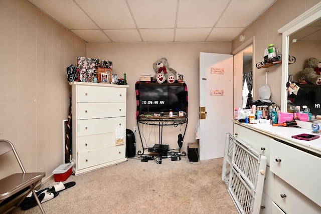 159 King St, Winona, MN 55987 - miscellaneous room featuring carpet and a paneled ceiling
