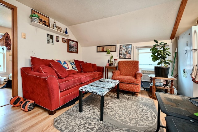 159 King St, Winona, MN 55987 - living room featuring wood finished floors, vaulted ceiling, and a textured ceiling
