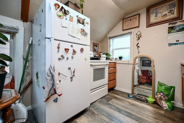 159 King St, Winona, MN 55987 - kitchen featuring white appliances, wood finished floors, and vaulted ceiling