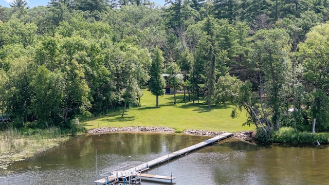 26952 Alpha Ln, Center Twp, MN 56465 - dock with a yard and a water view
