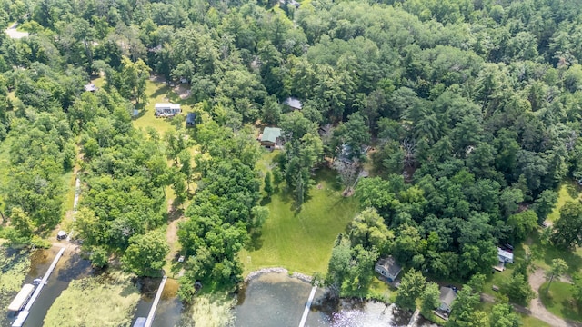 26952 Alpha Ln, Center Twp, MN 56465 - aerial overview of property's location featuring a forest and a large body of water