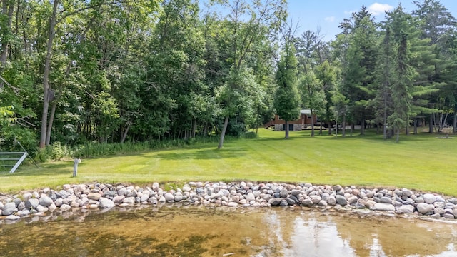 26952 Alpha Ln, Center Twp, MN 56465 - view of home's community with a yard