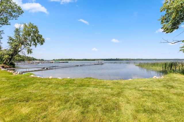 26952 Alpha Ln, Center Twp, MN 56465 - water view