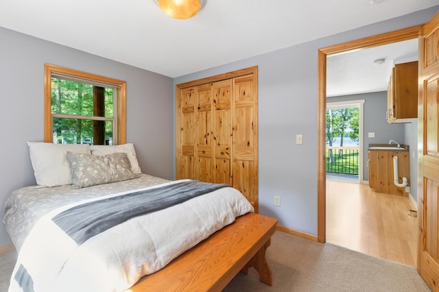 26952 Alpha Ln, Center Twp, MN 56465 - bedroom featuring light carpet and a closet