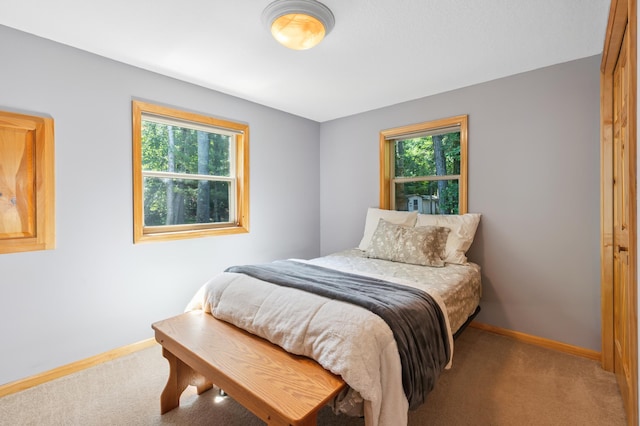 26952 Alpha Ln, Center Twp, MN 56465 - carpeted bedroom with multiple windows