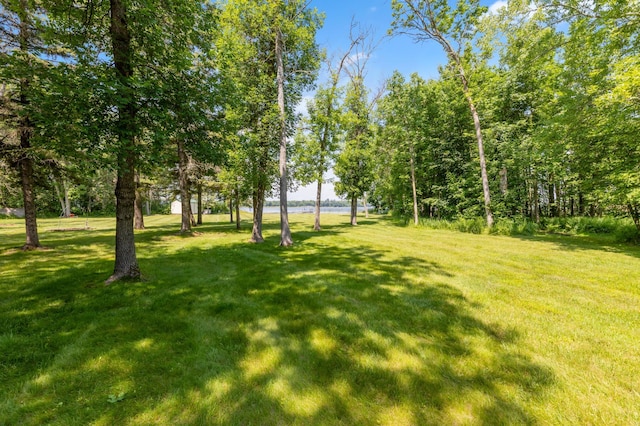 26952 Alpha Ln, Center Twp, MN 56465 - view of green lawn