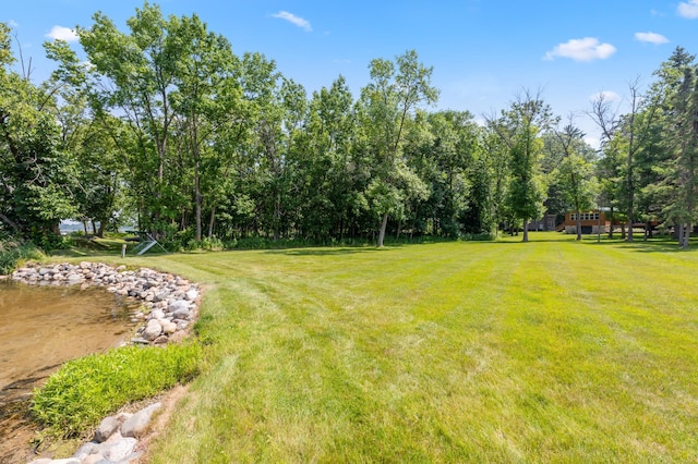 26952 Alpha Ln, Center Twp, MN 56465 - view of grassy yard