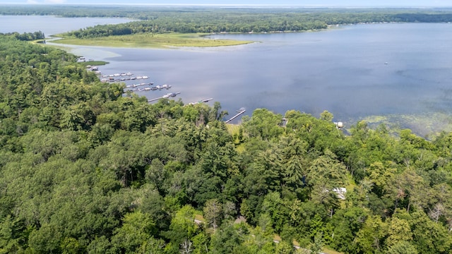 26952 Alpha Ln, Center Twp, MN 56465 - bird's eye view of a forest and a large body of water