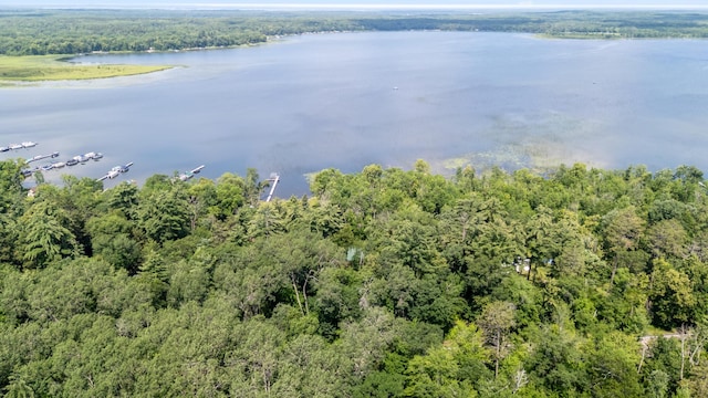 26952 Alpha Ln, Center Twp, MN 56465 - drone / aerial view of a heavily wooded area and a nearby body of water