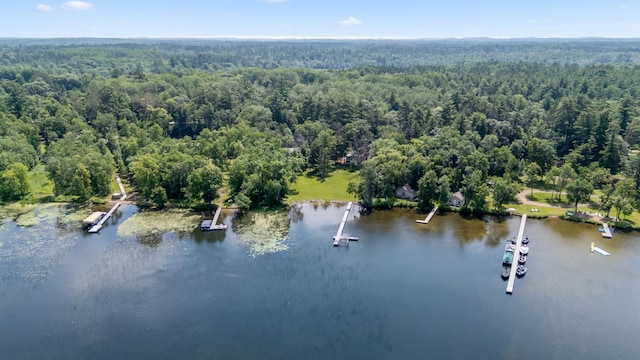26952 Alpha Ln, Center Twp, MN 56465 - drone / aerial view of a nearby body of water