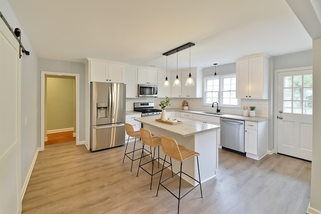 1295 Broadview Ave, Chaska, MN 55318 - photo 2