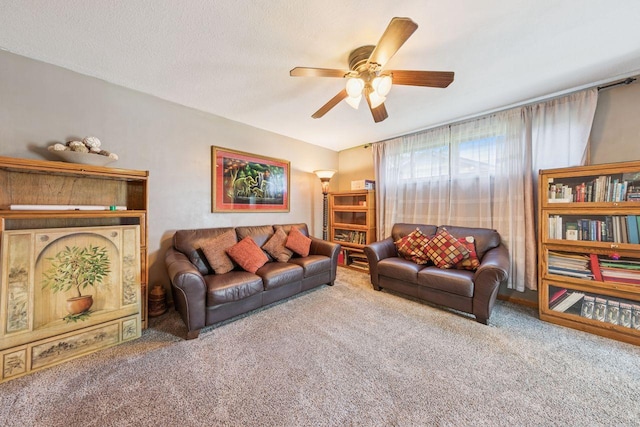10010 Ibis St NW, Coon Rapids, MN 55433 - photo 3