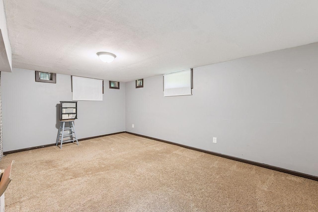 10010 Ibis St NW, Coon Rapids, MN 55433 - photo 15