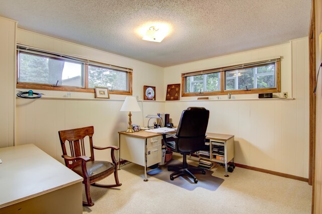715 River Heights Rd SW, Menomonie, WI 54751 - office space with a textured ceiling and carpet floors