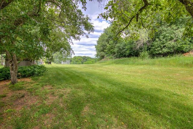 715 River Heights Rd SW, Menomonie, WI 54751 - view of green lawn