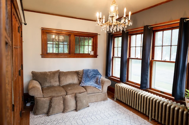605 Chestnut St, Ellsworth, MN 56129 - living room with radiator, a chandelier, ornamental molding, plenty of natural light, and wood finished floors