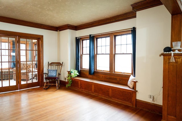605 Chestnut St, Ellsworth, MN 56129 - sitting room with light wood-style flooring, plenty of natural light, a textured ceiling, ornamental molding, and radiator