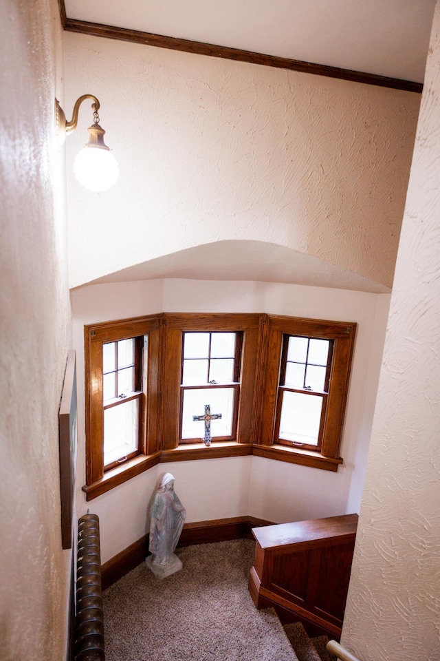 605 Chestnut St, Ellsworth, MN 56129 - interior space featuring carpet and radiator heating unit