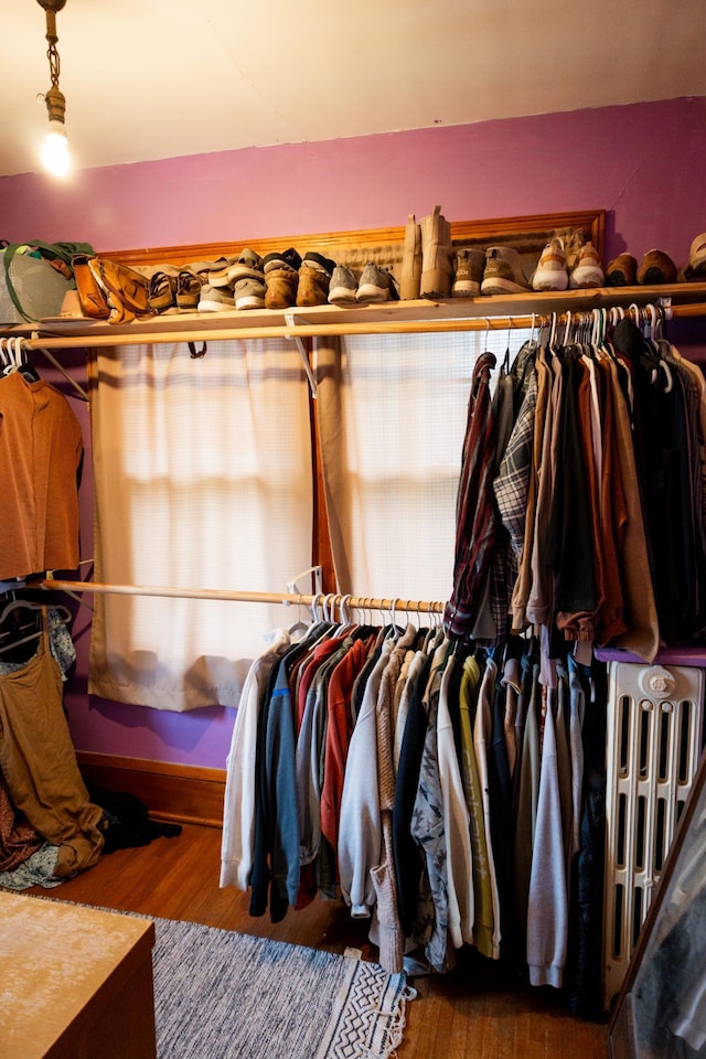 605 Chestnut St, Ellsworth, MN 56129 - walk in closet with wood finished floors