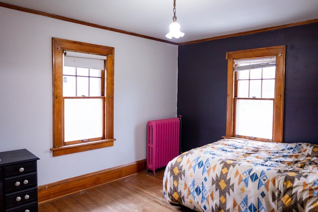 605 Chestnut St, Ellsworth, MN 56129 - bedroom with radiator heating unit, wood finished floors, and ornamental molding