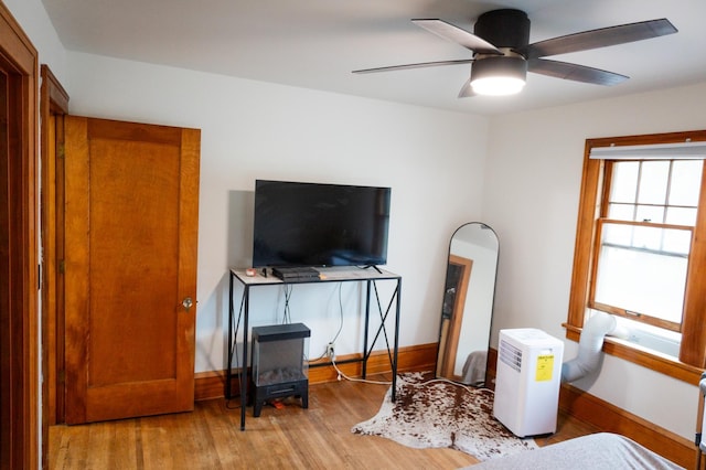 605 Chestnut St, Ellsworth, MN 56129 - bedroom featuring wood finished floors and ceiling fan