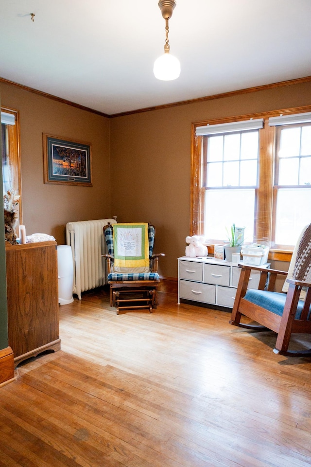 605 Chestnut St, Ellsworth, MN 56129 - sitting room with healthy amount of natural light, light wood-type flooring, radiator heating unit, and ornamental molding