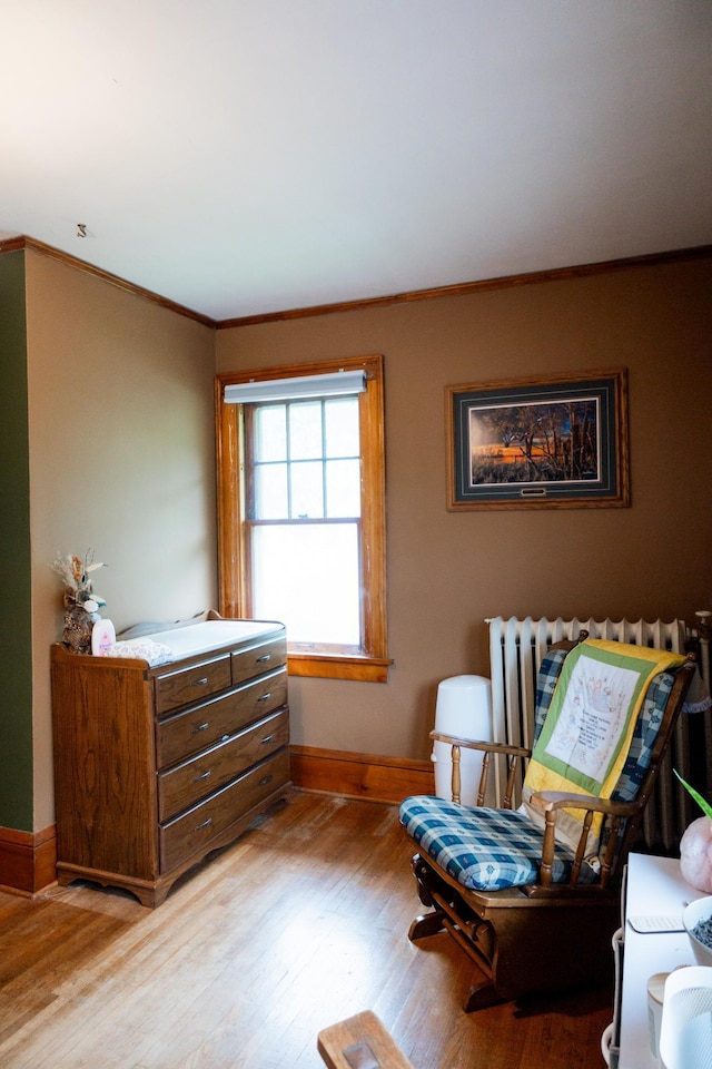 605 Chestnut St, Ellsworth, MN 56129 - living area with light wood-style floors and ornamental molding