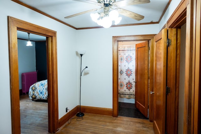 605 Chestnut St, Ellsworth, MN 56129 - corridor with wood finished floors, radiator, and ornamental molding