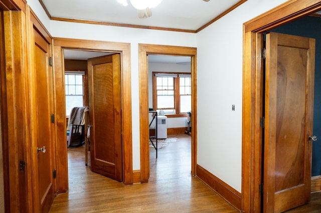 605 Chestnut St, Ellsworth, MN 56129 - hall featuring light wood-style flooring, an office area, and crown molding