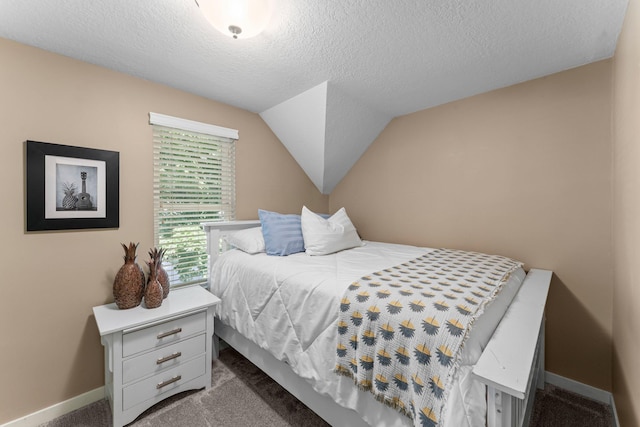 640 3rd St N, Dassel, MN 55325 - bedroom with dark colored carpet and a textured ceiling