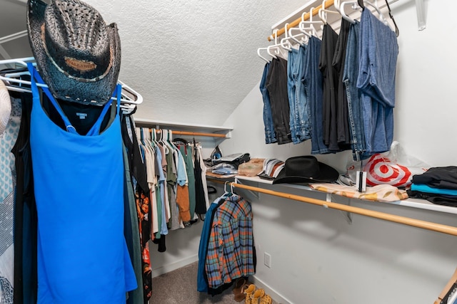 640 3rd St N, Dassel, MN 55325 - spacious closet with carpet